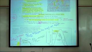 CARDIAC PHYSIOLOGY PART 2 by Professor Finkwmv [upl. by Lletnuahs]