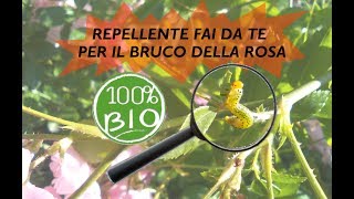 INSETTICIDA REPELLENTE BIO PER I BRUCHI DELLA ROSA [upl. by Jake]