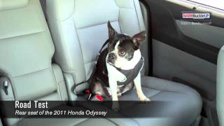 Pet Safety Lady amp Betty Review Sherpa To Go Dog Car Harness [upl. by Welcome]