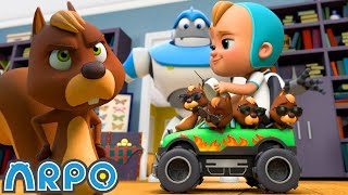 ARPO The Robot  Multiple Squirrel Mayhem  NEW VIDEO  Funny Cartoons for Kids  Arpo and Daniel [upl. by Maurie]