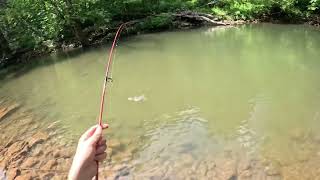 Trout fishing in bergoo wv [upl. by Beare]