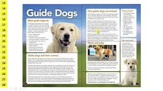 2015 KS2 SATs Reading paper walkthrough Guide Dogs [upl. by Enneyehs836]