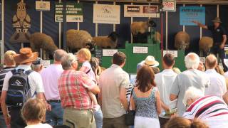 BAKEWELL SHOW 2011 [upl. by Berwick]