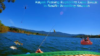 Kayak Fishing Exploring Lake Eildon in Redfin Breeding Season [upl. by Esorylime99]