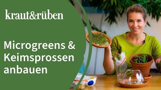 Microgreens anbauen  Keimsprossen ziehen – Superfood für zu Hause [upl. by Jakoba518]