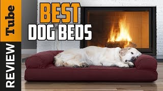 ✅Dog Bed Best Dog Beds Buying Guide [upl. by Yanahc]