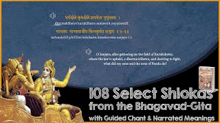 108 Most Important Shlokas of Bhagavad Gita  With Narrated Meanings [upl. by Nies]