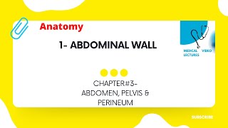 Abdominal wall  CHAPTER3 ABDOMEN PELVIS amp PERINEUM [upl. by Enos375]