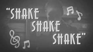 Bronze Radio Return  Shake Shake Shake Official Video [upl. by Olegnad]