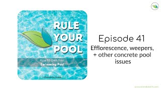 Weepers Efflorescence and Calcium Nodules  Rule Your Pool Episode 41 [upl. by Adalie384]