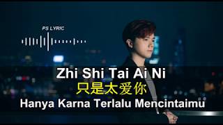 Zhi Shi Tai Ai Ni 只是太爱你  Hins Cheung 张敬轩 Lirik dan Terjemahan [upl. by Jacinta]