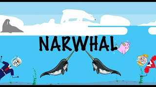 The narwhal song  Songs for kids  Aquatic animals for kids  Learn about narwhals [upl. by Enirol8]