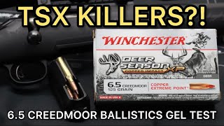 BARNES TSX KILLERS 65 Creedmoor Winchester Copper Impact 125gr Ammo Test [upl. by Zebe]