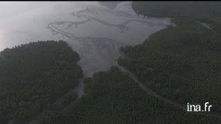 Thaïlande  mangrove et fermes aquacoles dans la baie de Phang Nga [upl. by Enaerb888]