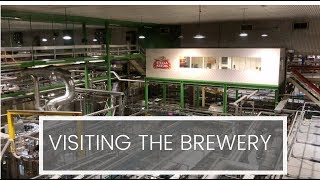 Visiting Stella Artois Brewery  Belgium [upl. by Ygief565]