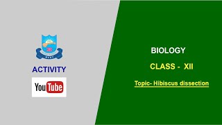 Flower dissectionnotes available  Practical  class12  Hibiscus [upl. by Romona]