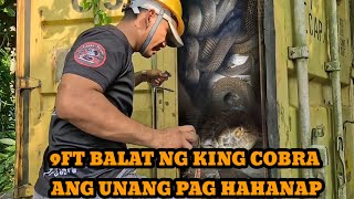 MGA COBRA SA LUMANG CONTAINER VAN tolcobra [upl. by Prosperus763]