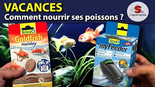 Vacances poisson rouge  Comment nourrir ses poissons pendant les vacances  ✔ [upl. by Butta]