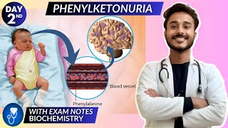 phenylketonuria biochemistry  protein metabolism biochemistry  phenylalanine metabolism defect [upl. by Iramat112]