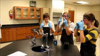 Lab Safety Rap Sardis High School [upl. by Lindner]