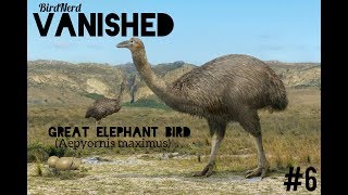 VANISHED Episode 6 Great Elephant Bird Aepyornis maximus [upl. by Onivag]