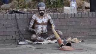 Australian Aboriginal Music Played by The Aboriginal Australians [upl. by Jeanie]