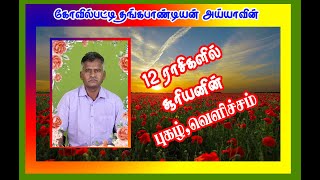 தங்கபாண்டியன் அய்யாவின் 12 ராசிகளில் சூரியனின் புகழ் வெளிச்சம் விளக்கம் [upl. by Tarton167]