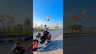 Bike ke sath 2 kabutar udaye 👀😍💯🔥 publicreaction kabutar pigeon shorts shortsfeed shortvideo [upl. by Broadbent]