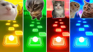 Vibing Cat vs Chipi Chipi Chapa Chapa Cat vs Sad Cat vs Talking Cats Tiles Hop EDM Rush [upl. by Yhtir]