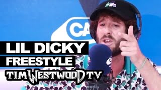 Lil Dicky freestyle  Westwood [upl. by Eelan224]