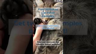 Free Whiskas Cat Food Samples [upl. by Eilsew147]