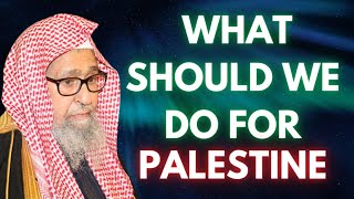 What Should We Do For Palestine  Shaykh Saleh Al Fawzan Original Clip Uploaded on Feb 9 2019 [upl. by Oicanata423]