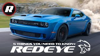 2019 Dodge Challenger SRT Hellcat Redeye 5 things to know about this demon born cat [upl. by Annert]