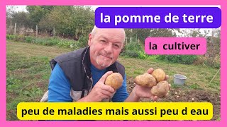 LA POMME DE TERRE  facile a cultiver mais l eau vient a manquer [upl. by Acinet]