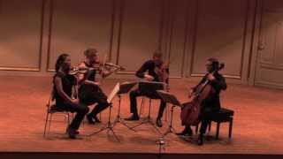 Galatea Quartet Dvorak Cypresses for string quartet [upl. by Duston]