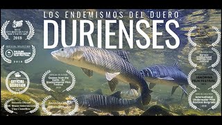 DURIENSES Los Endemismos del Duero [upl. by Anaiek]