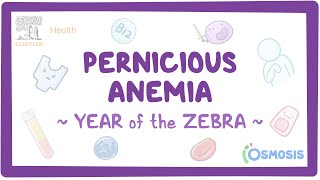 Pernicious Anemia Year of the Zebra [upl. by Netsryk912]