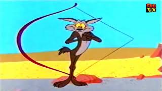 Road Runner amp wile e coyote best moments [upl. by Einafats]