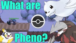 What is a Pheno amp How do I Find Them  PokeMMO [upl. by Landrum]