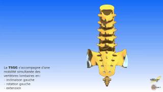 Les mouvements associés du sacrum et du rachis lombaire [upl. by Charil]