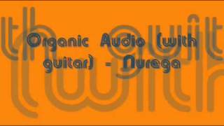 Organic Audio with guitar  Nurega [upl. by Bobbe]