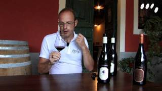 Tenuta Lenzini Syrah 2008 [upl. by Aseena]