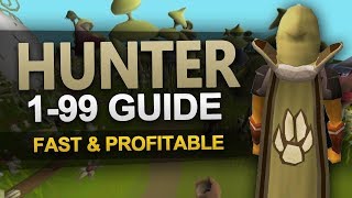 OSRS 199 Hunter Guide [upl. by Ahsehyt]