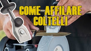 Come affilare coltelli 🔪 con supporto TORMEK SVM45 e qualsiasi Mola per Hobbisti [upl. by Roshan112]