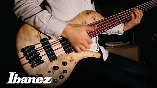 Ibanez Bass workshop  SRSC805NTF [upl. by Ahtanamas]