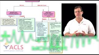 Tachycardia Review by ACLS Certification Institute [upl. by Mccallum]