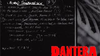 Pantera  Reprise Sandblasted Skin instrumental [upl. by Anined]