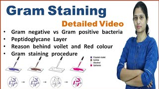 Gram Staining  Principle and procedure  Microbiology [upl. by Dlanger958]