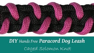 DIY Paracord Dog Leash Hands Free Caged Solomon [upl. by Sivrup59]