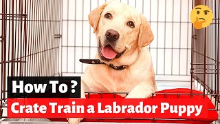 How to Crate Train a Labrador Retriever Puppy [upl. by Nirrek]